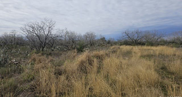 rental at 949 W Ave K Lots 3283-3285 in Christine, TX — photo 1