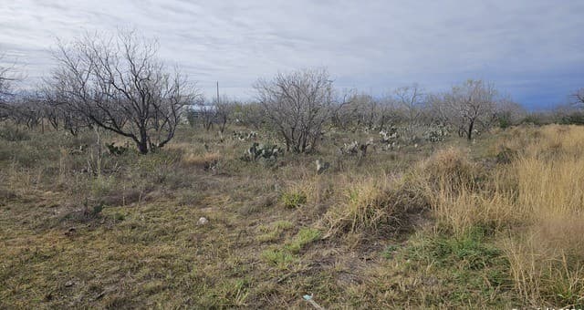 rental at 949 W Ave K Lots 3283-3285 in Christine, TX — photo 2