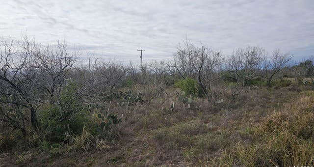 rental at 949 W Ave K Lots 3283-3285 in Christine, TX — photo 3