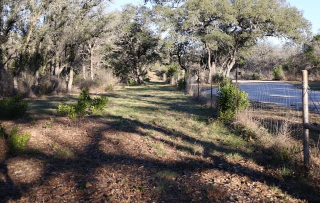 rental at TBD County Road 241 in Hondo, TX — photo 1