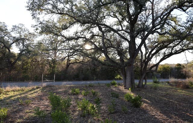 rental at TBD County Road 241 in Hondo, TX — photo 5