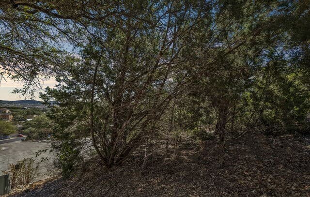 Home for sale at 11232 Cave Creek in Helotes, TX — photo 4