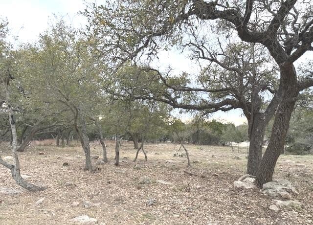 rental at 104 C Chisholm in Blanco, TX — photo 5
