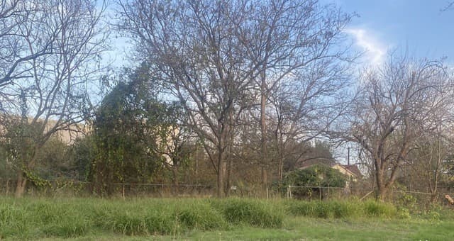 rental at 210 Dalton Alley in San Antonio, TX — photo 1