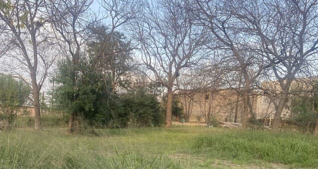 rental at 210 Dalton Alley in San Antonio, TX — photo 4