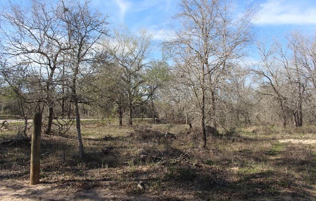 rental at 24222 Mathis in Elmendorf, TX — photo 3
