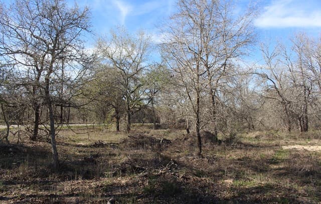rental at 24222 Mathis in Elmendorf, TX — photo 4