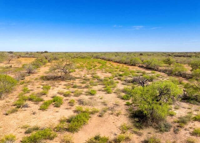 rental at 4246 Rakowitz Rd in Adkins, TX — photo 3