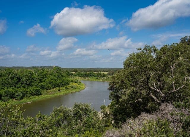 Home for sale at 209 River Cliff Place in Spring Branch, TX — photo 5