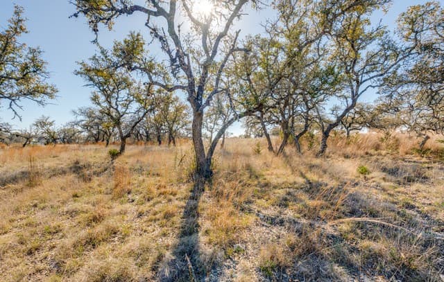 rental at LOT 19 Greco Bend in Boerne, TX — photo 5