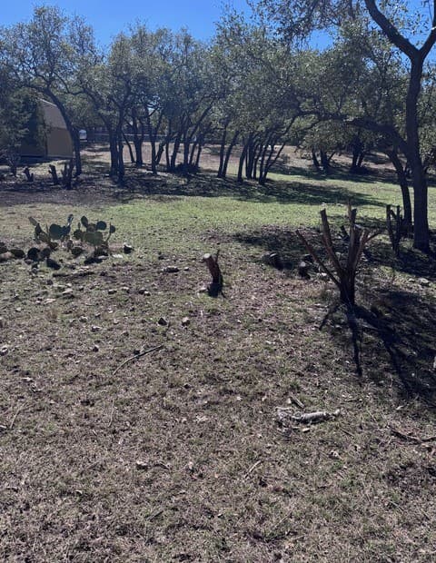 rental at 186 Lantana Vista in Spring Branch, TX — photo 5