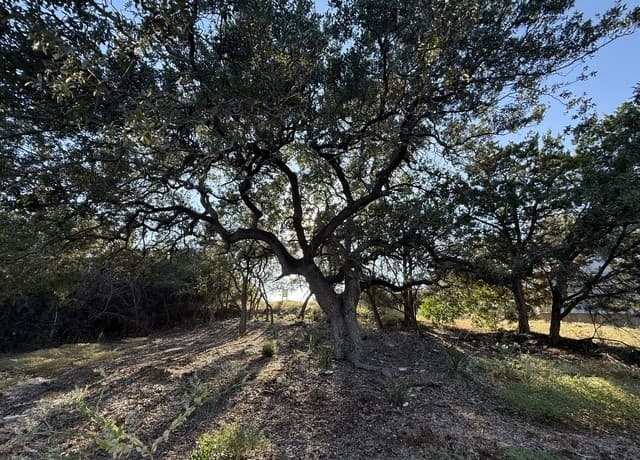 rental at 8004 Arbor Vlg in Boerne, TX — photo 2