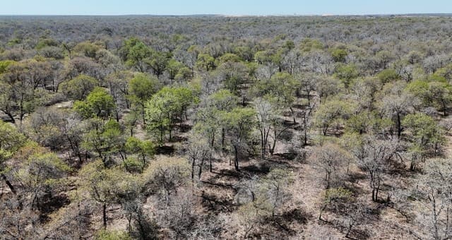rental at TBD Trumbo Rd in Pleasanton, TX — photo 4