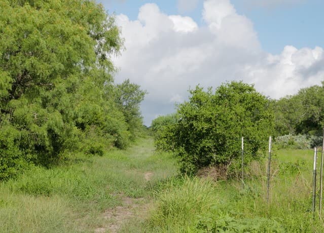 rental at TRACT 8 TBD Cr 208 in Hobson, TX — photo 3