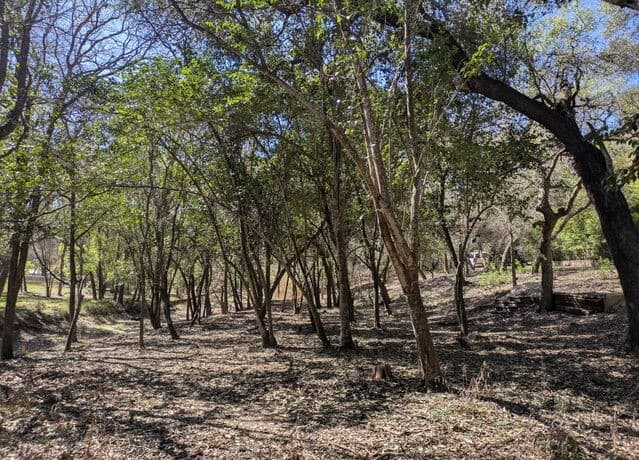 Home for sale at 19612 Greenhill in Helotes, TX — photo 3