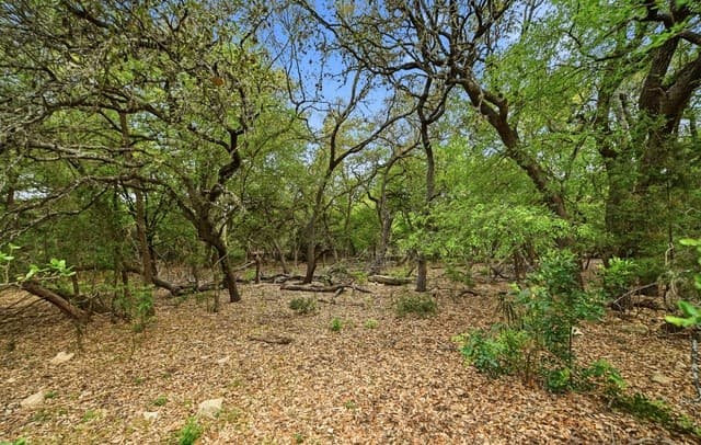 Home for sale at 15 Villa Verde in San Antonio, TX — photo 4
