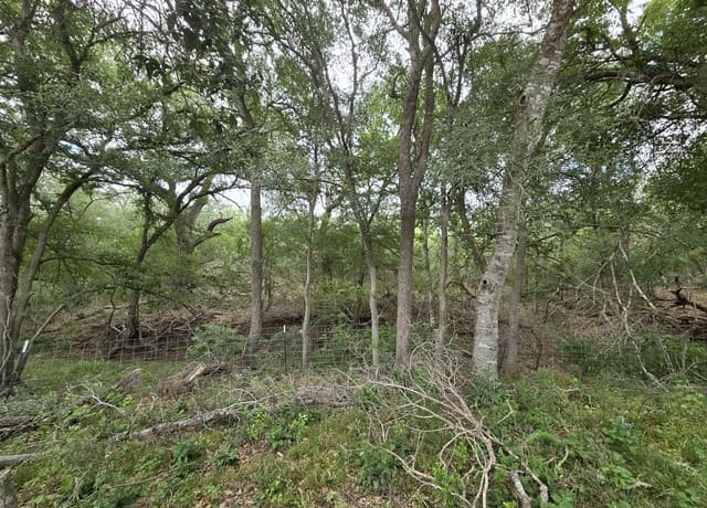 3-bedroom rental at 124 Elm Country Dr in La Vernia, TX — photo 3