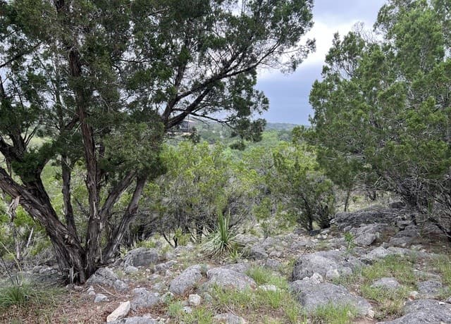 Home for sale at 333 Spanish Oak in Bandera, TX — photo 3
