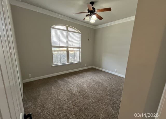 4-bedroom rental at 520 Albarella in Cibolo, TX — photo 4