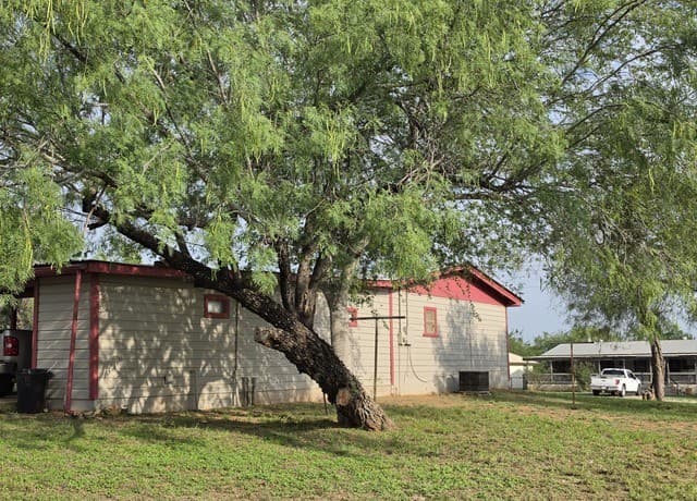 3-bedroom rental at 508 Nueces in Cotulla, TX — photo 3