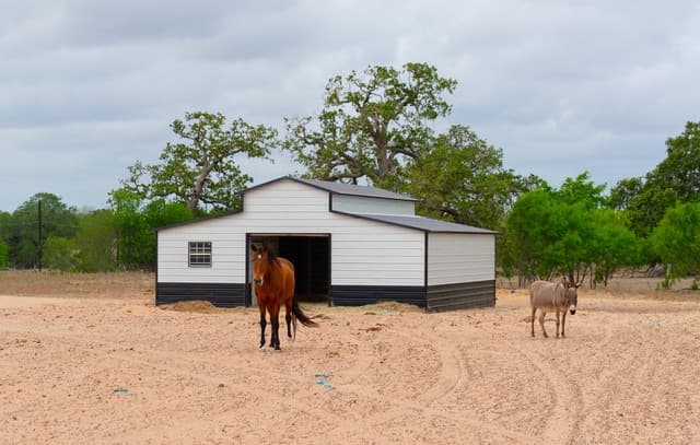 Home for sale at 2948 Fm 1922 in Floresville, TX — photo 4