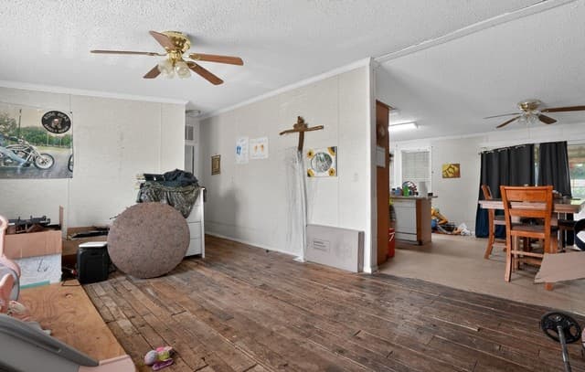 4-bedroom rental at 975 County Road 6753 in Devine, TX — photo 5