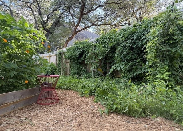 4-bedroom rental at 11242 Whisper Spring DR in San Antonio, TX — photo 5