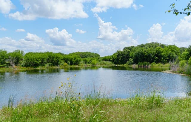4-bedroom rental at 12188 Heartvine Parkway in Schertz, TX — photo 4