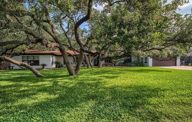 4-bedroom rental at 329 Meadowbrook Dr in Hollywood Park, TX — photo 1