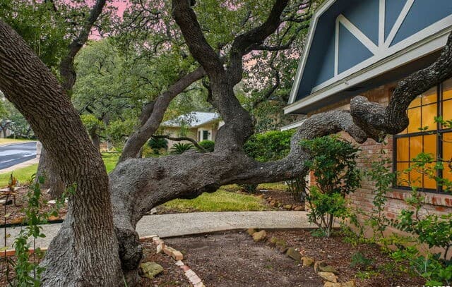 4-bedroom rental at 13123 Hunters Spring St in San Antonio, TX — photo 4