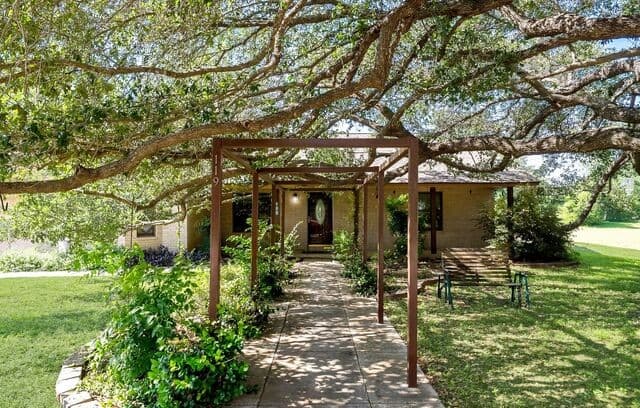 Home for sale at 119 Village Path in Castroville, TX — photo 3