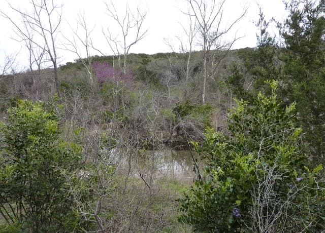 home for sale at 17032 Scenic Loop Road in Helotes TX