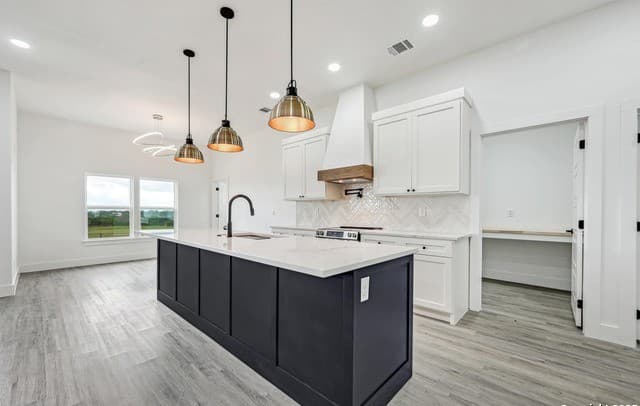 4-bedroom home for sale at 236 Peter Kleid Loop in Blanco TX